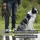 reavet Schleppleine schwarz 10 m