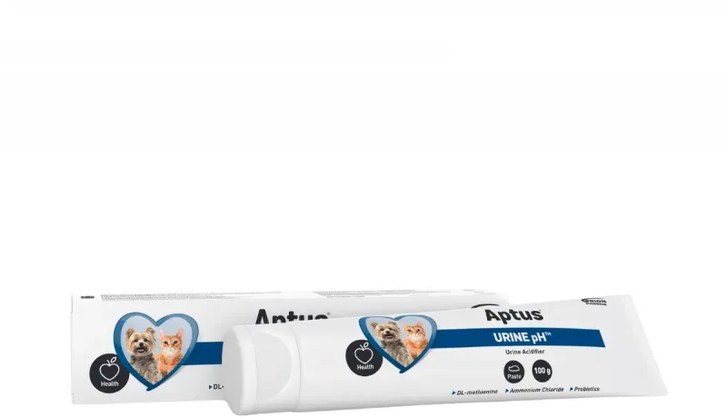 APTUS Urine pH 100g Paste mit urinsäuernden Inhaltsstoffen