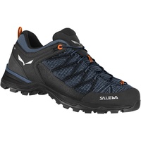 Salewa Herren MTN Trainer Lite Schuhe (Größe 42