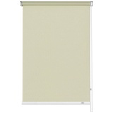 GARDINIA Seitenzug-Rollo, creme, Polyester - beige