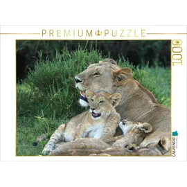 Calvendo Puzzle Löwen – Mutterglück 1000 Teile Lege-Größe 64 x 48 cm Foto-Puzzle Bild von Michael Herzog