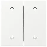 Gira Wippe 2f Pfeile 329703