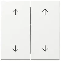 Gira Wippe 2f Pfeile 329703