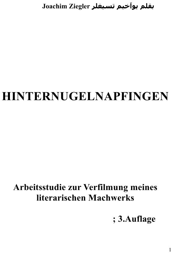 Hinternugelnapfingen Arbeitsstudie Zur Verfilmung Meines Literarischen Machwerks; 3.Auflage - Joachim Ziegler  Kartoniert (TB)