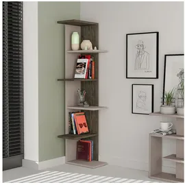 Decortie Bücherregal 37 x 24 x 141 cm Bunt