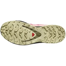 Salomon XA Pro 3D V9 GTX Damen Rouge Red/Vanilla Ice/Martini Olive 38