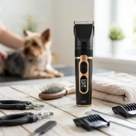 Adler AD 2849 Schwarz