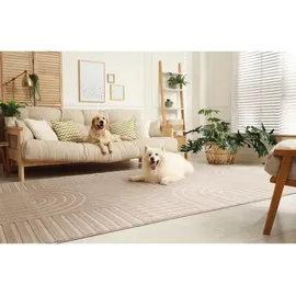 tesso living LOUIS Designer-Teppich 160 x 230 cm Beige