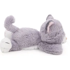NICI Kuscheltier Katze grau 20 cm liegend GRÜN - Lila