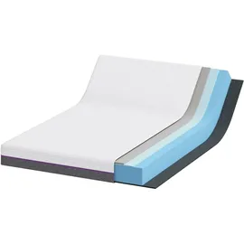 vidaXL Matratze Weiß Grau 160 x 200 cm Memory Foam