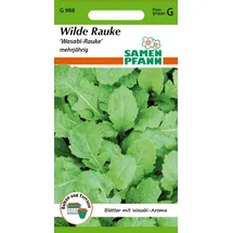 Samen Pfann Wilde Rauke Wasabi