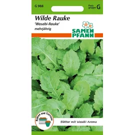 Samen Pfann Wilde Rauke Wasabi