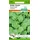 Samen Pfann Wilde Rauke Wasabi