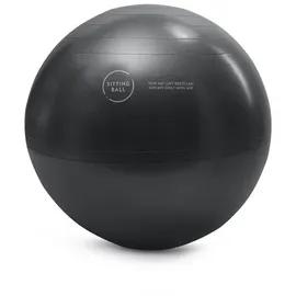 Sitting Ball ALFA Rot 65 cm