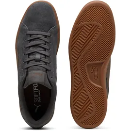 Puma Smash 3.0 Unisex Grau/Bronze 42
