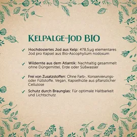 Erdling Kelpalgen-jod Bio Kapseln Erdling