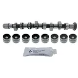 schaeffler ina Ina Nockenwellensatz 428005130] für VW,