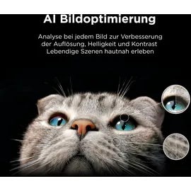 TCL 65P71K 65 Zoll QLED 4K Google TV