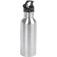 Testrut Trinkflasche Silber 0,6 l