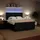 vidaXL Boxspringbett mit Matratze Schwarz 180x200 cm Samt