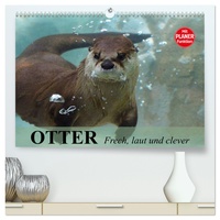 Calvendo Otter. Frech, laut und clever (CALVENDO Premium Wandkalender