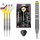 Target Darts Gabriel Clemens G2 Steeldarts 21 g