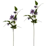 NTK-Collection Clematis Lila 2er Set 89 cm