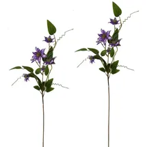NTK-Collection Clematis Lila 2er Set 89 cm