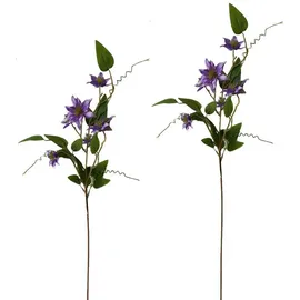 NTK-Collection Clematis Lila 2er Set 89 cm