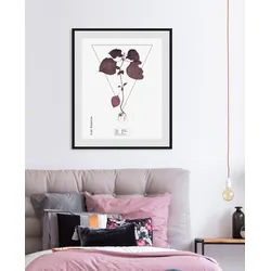 queence Bild »Lamiaceae«, (1 St.) queence Farbe Rahmen: schwarz + Farbe Bild(er): lila