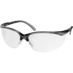 HOLEX Komfort-Schutzbrille mit Dioptrienkorrektur 2.0