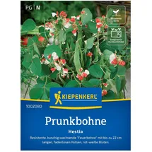 Gemüsesamen, Prunkbohne 'Hestia'