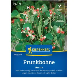Gemüsesamen, Prunkbohne 'Hestia'