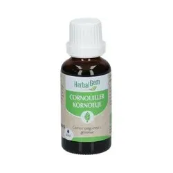 HerbalGem CORNOUILLER Goutte(S) 30 ml