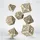Q Workshop Q-Workshop QWSSDMR01 - Dice Macabre Set