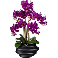 Creativ green Kunstorchidee »Phalaenopsis«, in Design-Kunststoffvase lila