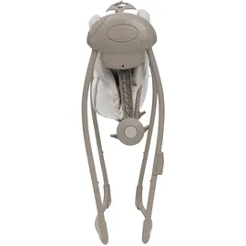 Chicco Swing & Play