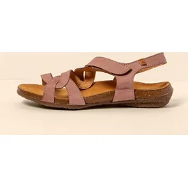 El Naturalista N5079 Wakataua Rot 42