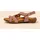 El Naturalista N5079 Wakataua Rot 42