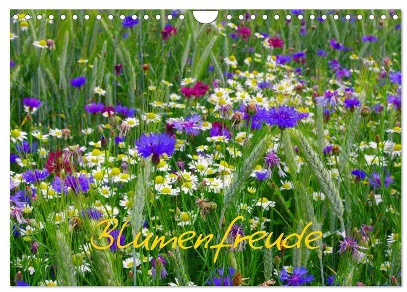 Blumenfreude (Wandkalender 2024 Din A4 Quer)  Calvendo Monatskalender