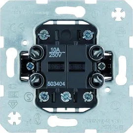 Berker Taster 503404