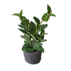 Hti-Living Grünpflanze im Topf Kunstpflanze Flora