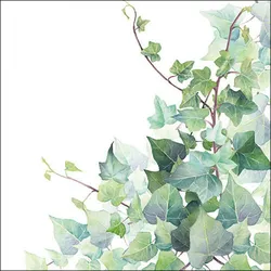 Ambiente 20 Servietten Papier 33x33cm 3-lag - hochwertige Einweg Papierservietten Efeu Aquarell grün weiß Blättermotiv natürlich Garten Hochzeit Frühling Feier