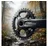 Shimano Kettenblatt 32 Zähne Schwarz