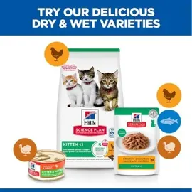 Hill's Kitten Huhn 1,5 kg