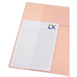 Brunnen Schnellhefter FACT! Kunststoff rosa pastell transluzent DIN A4, 1 St.