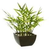 Atmosphera Créateur d'intérieur Kunstpflanze in grün - Künstlicher Bambus - H35 cm