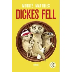 Dickes Fell / Ray & Rufus Bd. 4