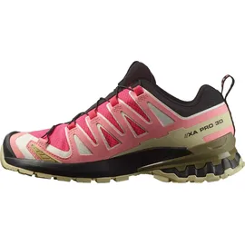 Salomon XA Pro 3D V9 GTX Damen Rouge Red/Vanilla Ice/Martini Olive 38 2/3