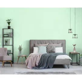 Schöner Wohnen Trendfarbe 1 l macaron matt